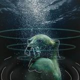 Omoke - 2000▼SUBSEA