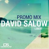 David Salow - Promo mix 06-2015