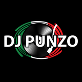 Nocturnal Vibes #207 - Mixed by: DJ Punzo