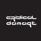 Critical Damage - SKGLOBE.NET Radio 23.01.16