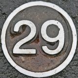29