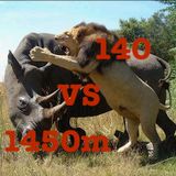 140 vs 1450M K&N Mix