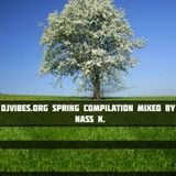DJVibes.org Spring Compilation 2010 mixed by Nass K.