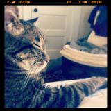 Dreams 'Til Sunbeams Find You