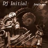 Jungle mix @ Zone Inconnue radio show 13 Juillet 2015