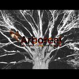 Arboreal Starlight