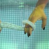 Exciting modern advancements in Robotics