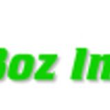 Boz Insanity - The Oldschool Movement (100% Vinyl Only!!!) Part Two