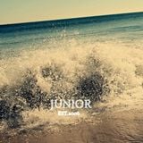 Dinujr - Sears