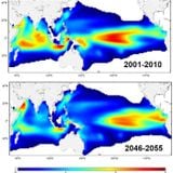 Changements climatiques et biodistribution des espèces marines