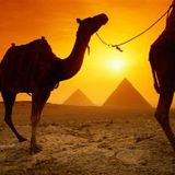 Desert expedition #1