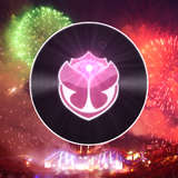 Tomorrowland 2013 Special Set - Best Tracks