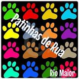 PATINHAS DE RUA DE RIO MAIOR NO SUNSET DA HIPER FM - 4 DE FEVEREIRO (HOJE TEMOS VISITAS)