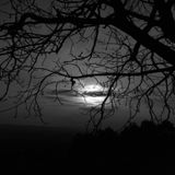Covered in the Dark Moon 26.03.2016 (live set)