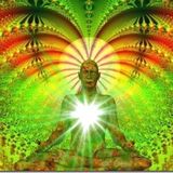Meditação do Coração Verde para o Mundo - por Bruno Gimenes