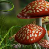 Raumgleiter - Full-on Jam (04.10.2013)