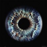 Music Of The Spheres Vol.09