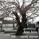 Arsen Košta - Pod starom murvom - gost Darko Miladin