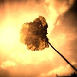 Ambient Belief System 1