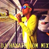 DJ HAYATO EDM MIX vol.1