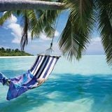 Tropical Tunes to Ease Northern Hemisphere Winter's-coming Blues - 30 November 2012