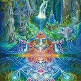 DJ LUCA - MYSTICAL VOYAGERS VISIONARY SHAMANICS SHOW - 25/4/2015