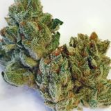 Strictly Homegrown