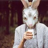 FLAVA DAN - Milk, innit