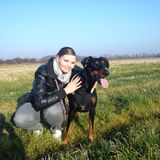 Jango`s track