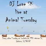 DJ Love SK live at Animal Tuesday