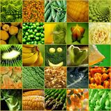 EverClectic 125.140.175