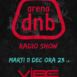 Arena dnb radio show - Vibe fm - mixed by GRID - 11-Dec-2012