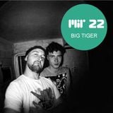MIR 22 by Big Tiger