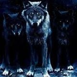Pack Of Wolves