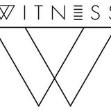 Witness- Guest Mix (2012)