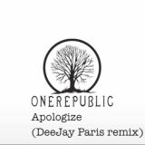 One Republic - Apolozige (DeeJay Paris remix)