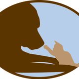 Pawling All Pets - Kids and Dogs