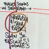 Dizraeli & Jakaboski - Scan Your Biscuits: Volume 3