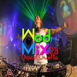 WodMix 23 - David Guetta