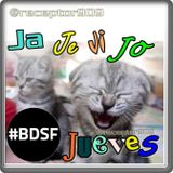 BDSF: JaJeJiJoJuves (23-08-12)