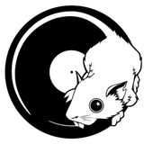 Chill-Deep-Liquid-Wobble Flow