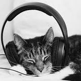 Le TOP #13 : Le top 4 d'émissions de radio originales et engagées
