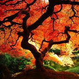 yveSound "Color" HouseMix