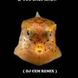 Finnebasen - If You Only Knew ( Dj Cem Remix)