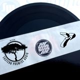 Phuture-T : The Eastern Promise Audio Radio Show Jungletrain.net 07-11-2014