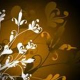 Marco Maeij & VdF-Project - Brown & White Pt. 1 of 2