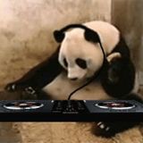 DJ PandaBinah - Live @ Cypher's B-day Bash - 2015-5-30