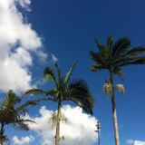 Sunny Summer Sky