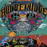 Live @ Hodgepodge Festival 2013