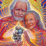 DR SHULGINS LEGACY MIX